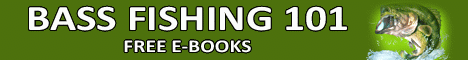 197 Bass Fishing 101