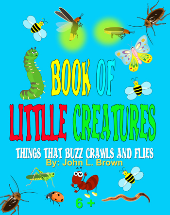 Book Of Little Creatures